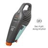 Máy hút bụi không dây Electrolux ZB6214IGM 